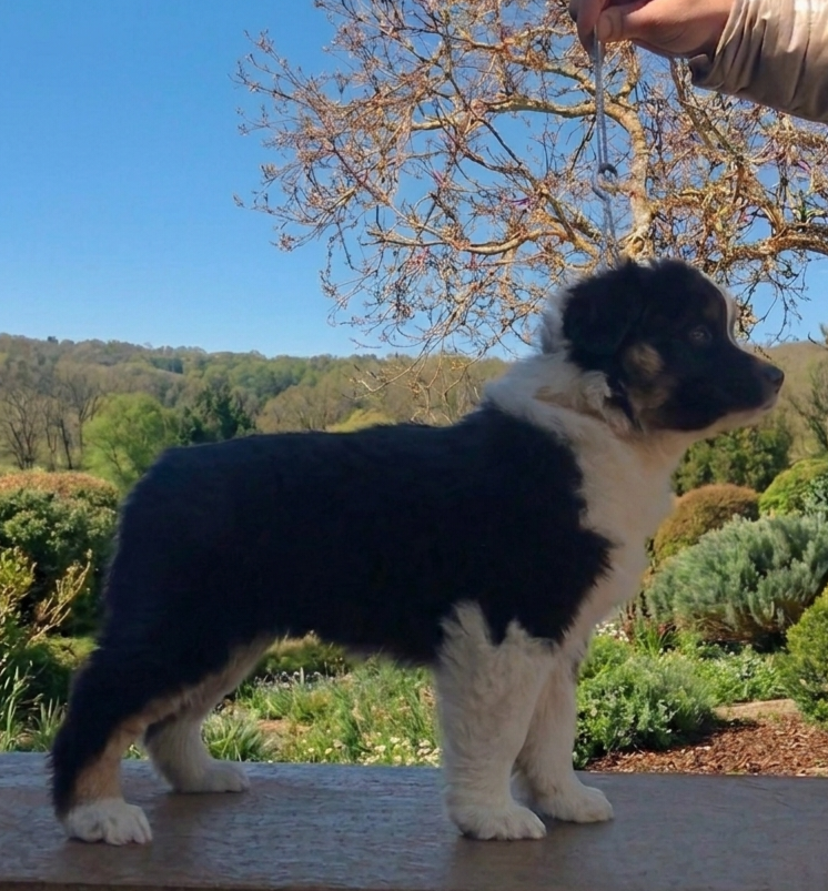 Be Believe Become  De La Quintessence Du Coeur