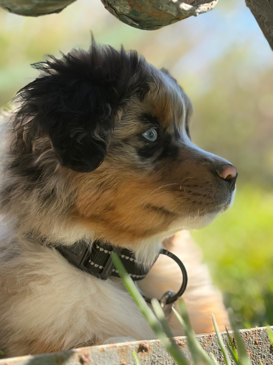 Tous les bb sont réservés